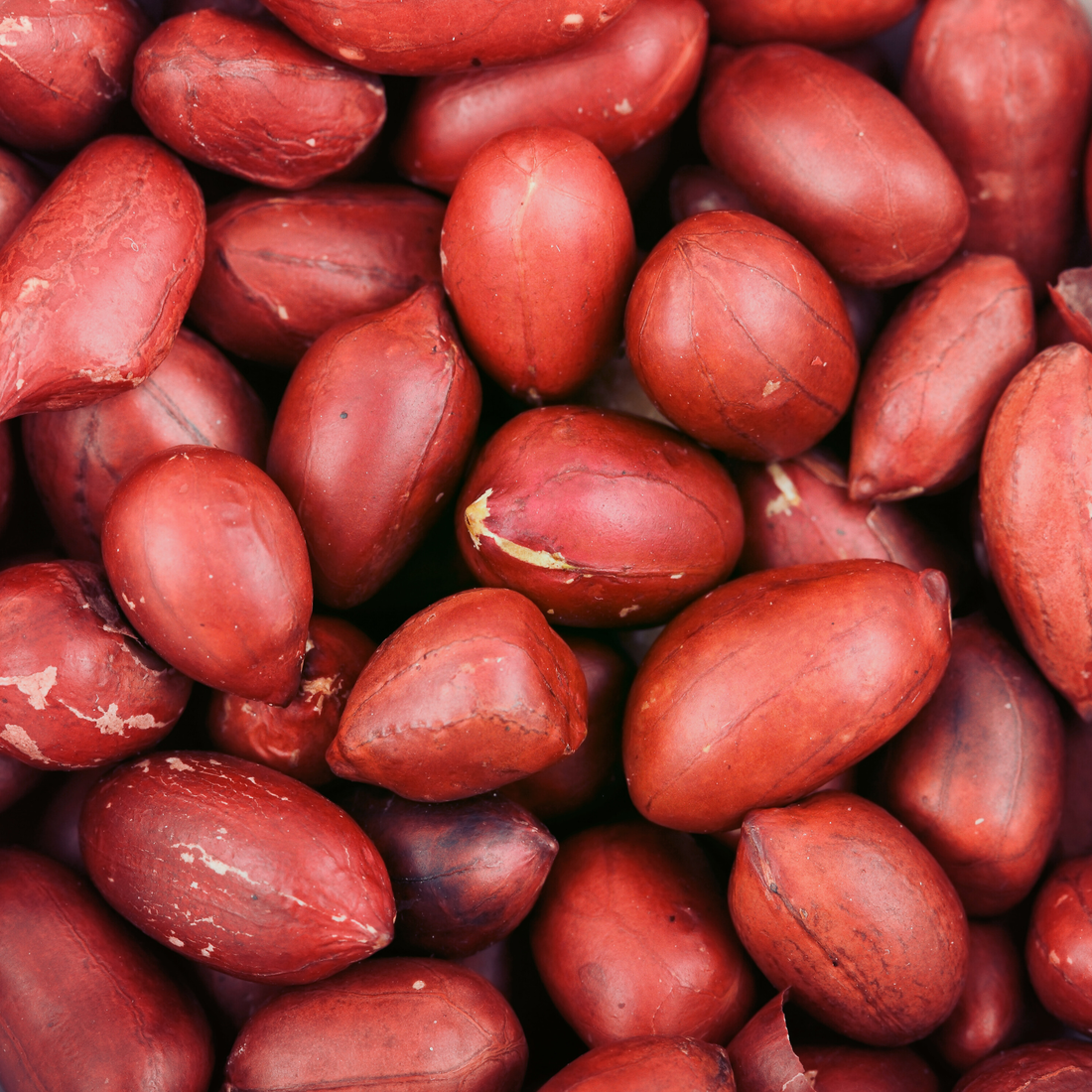 Roasted Gnuts Uganda’s Original Superfood Snack