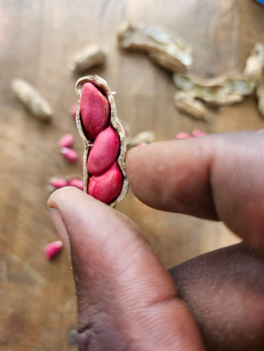 Salted Crunch Roasted Ugandan Gnuts