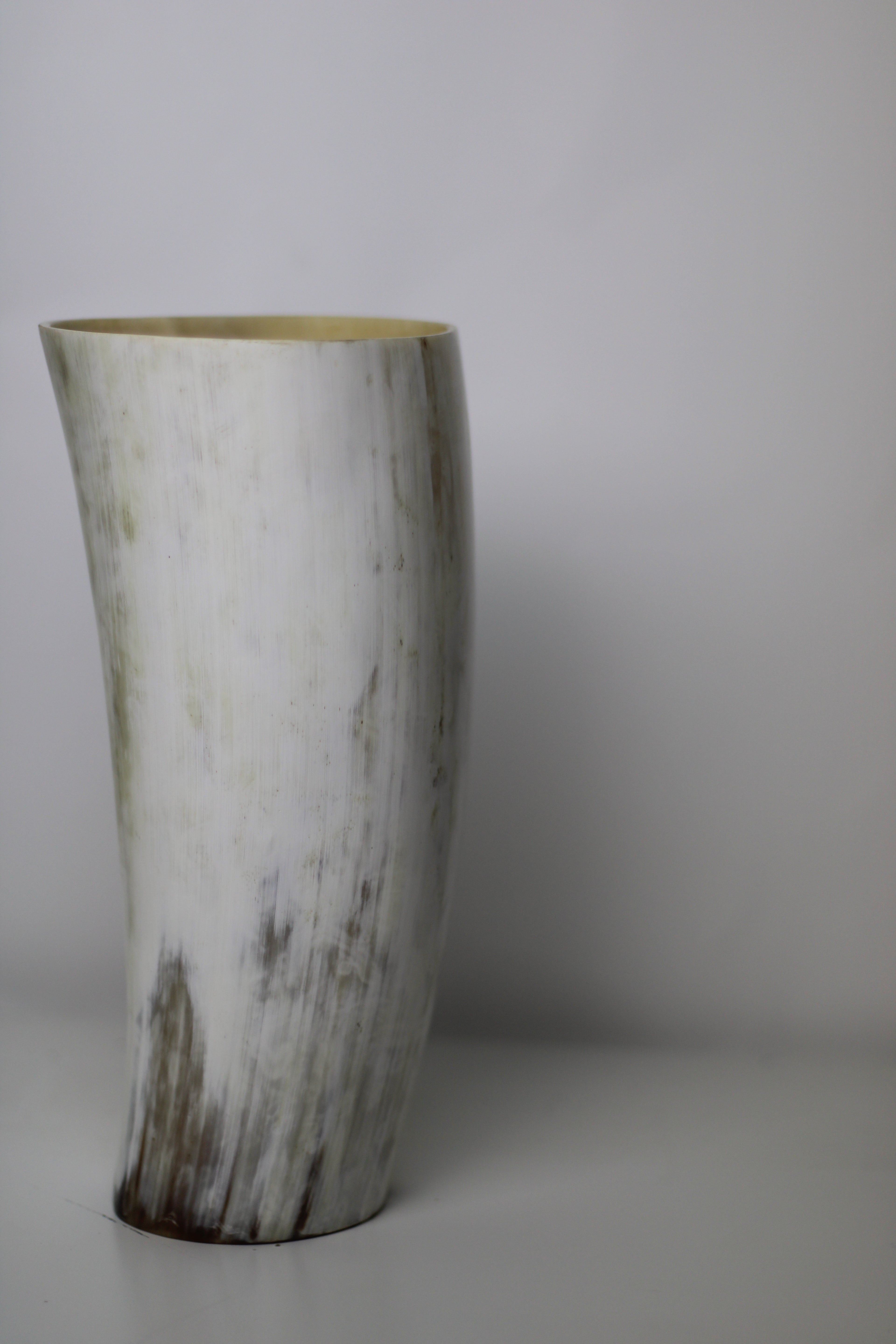 Cow horn Vase™